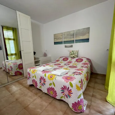 Zuzicka Primavera طوستا ديل سيلونثيو