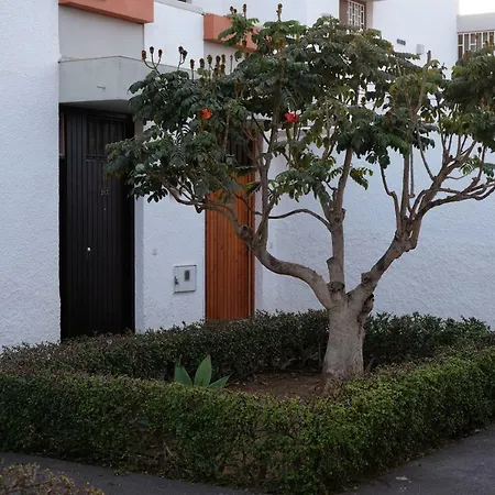 Zuzicka Primavera Apartament Costa Del Silencio